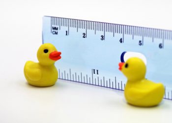 Walking Duck is a digital news startup trying to find middle ground in US politics – TechCrunch