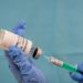 Boston Focus Group Considers Minorities’ COVID Vaccine Trust Gap – NBC Boston