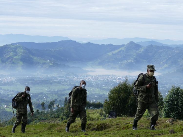 After 25 Years, Fossey Gorilla Fund Remains Convinced of Atlanta’s Advantages for Global Nonprofits