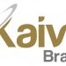 KAVL) U.S. Market Growth of 907.9% Year-Over-Year for Fourth Quarter 2020; Becomes No. 1 ENDS Offering in U.S. for Fourth Quarter of Calendar 2020