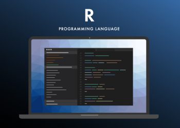 A Beginner’s Guide to R Programming