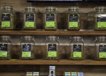 Marijuana-infused drinks appear to be on the way in Michigan