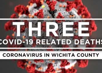 3 new COVID-19 related deaths, 210 recoveries, 176 new cases in Wichita County, total now 12,345
