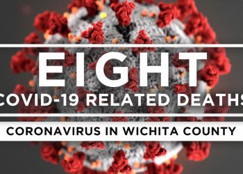 8 new COVID-19 related deaths, 250 new cases reported over weekend, total now 12,595