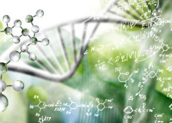 EWAS Identifies Methylation Sites Linked to hATTR