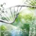 EWAS Identifies Methylation Sites Linked to hATTR