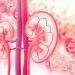 Hyperkalemia Rates Lower in Patients with Sjogren’s Syndrome with AKI