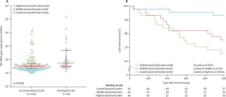 Lung microbiota predict chronic rejection in healthy lung transplant recipients: a prospective cohort study