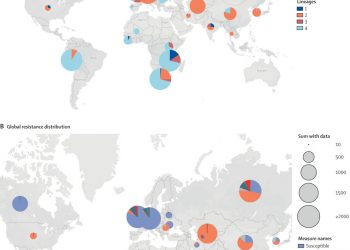 Globally diverse Mycobacterium tuberculosis resistance acquisition: a retrospective geographical and temporal analysis of whole genome sequences