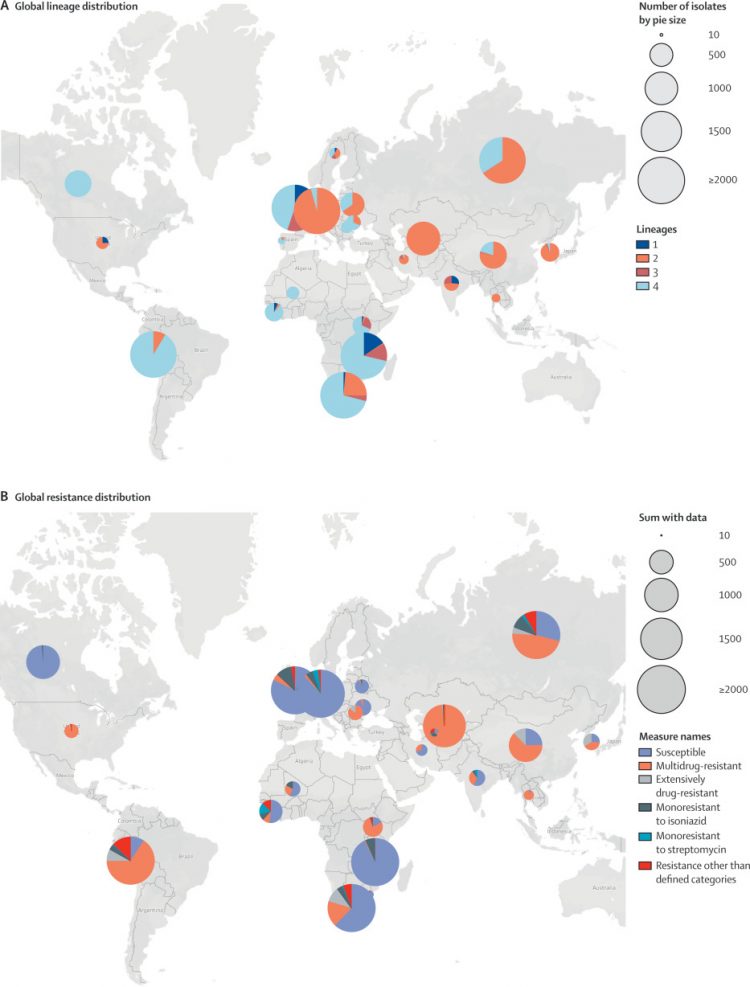 Globally diverse Mycobacterium tuberculosis resistance acquisition: a retrospective geographical and temporal analysis of whole genome sequences
