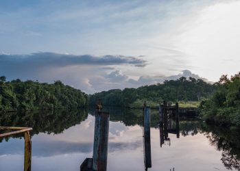 Suriname Could Be Latest Big Oil Find as Industry Cuts Costs