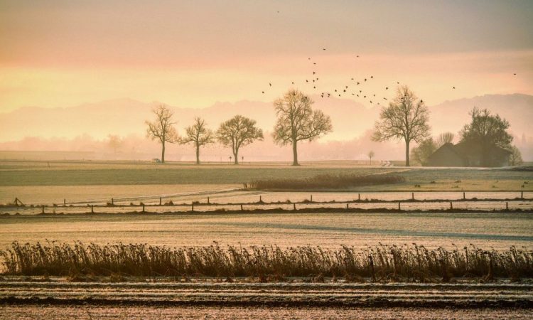 Litecoin Price Analysis: 03 January