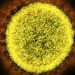 Screening to detect prior coronavirus infections launched by Adaptive Biotech, with Microsoft’s help