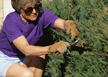 Could Working Outside Help Prevent Breast Cancer? – Consumer Health News