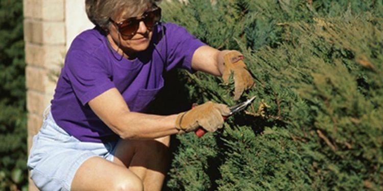 Could Working Outside Help Prevent Breast Cancer? – Consumer Health News
