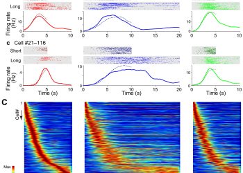 Scalable representation of time in the hippocampus