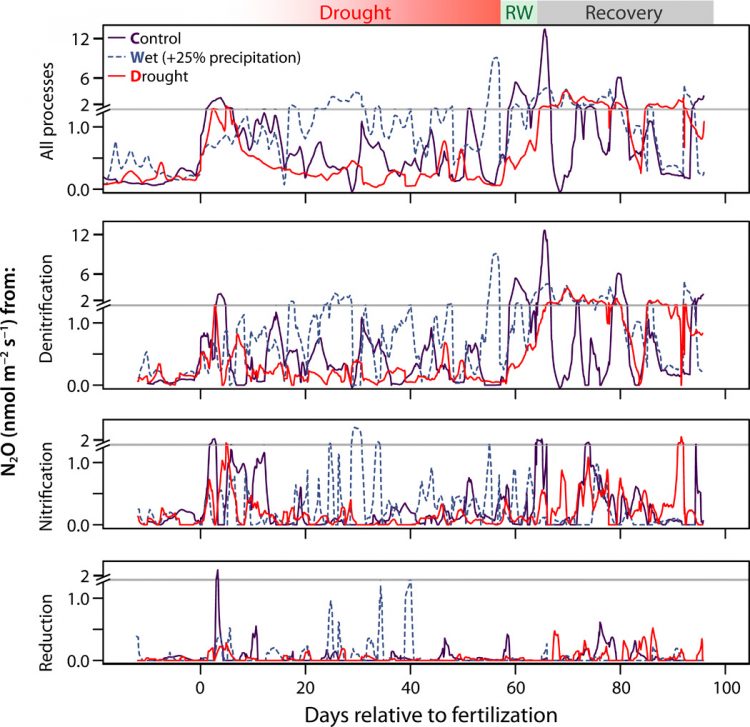 Denitrifying pathways dominate nitrous oxide emissions from managed grassland during drought and rewetting