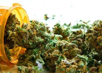 One in Five Allergy/Asthma Patients Report Cannabis Use – Consumer Health News