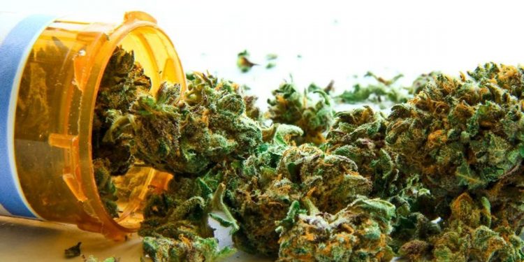 One in Five Allergy/Asthma Patients Report Cannabis Use – Consumer Health News