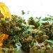 One in Five Allergy/Asthma Patients Report Cannabis Use – Consumer Health News