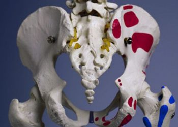 Factors Associated With Fracture Risk in Middle Age ID’d – Consumer Health News