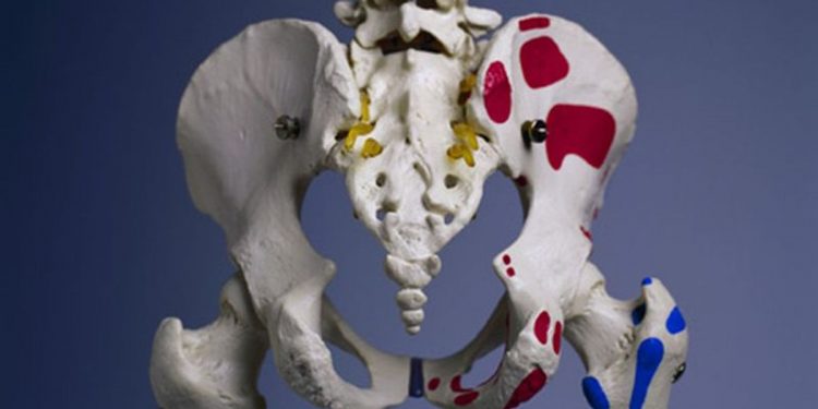 Factors Associated With Fracture Risk in Middle Age ID’d – Consumer Health News