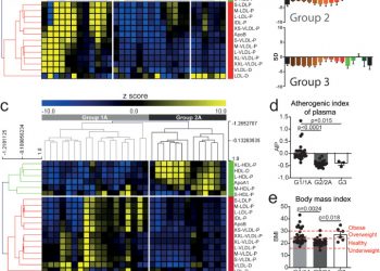 Increased apolipoprotein-B:A1 ratio predicts cardiometabolic risk in patients with juvenile onset SLE