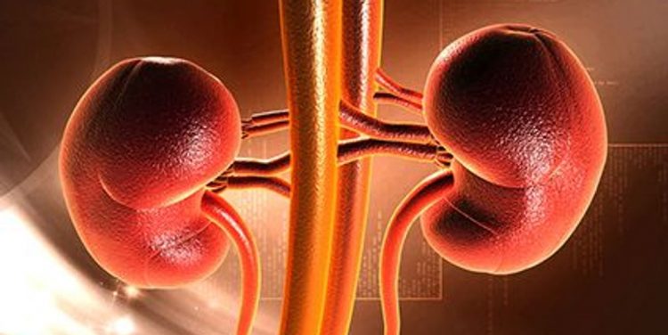Transplant Beneficial for Kidney Failure in Sickle Cell – Consumer Health News