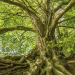 Strategic Equity Capital – Back to its roots