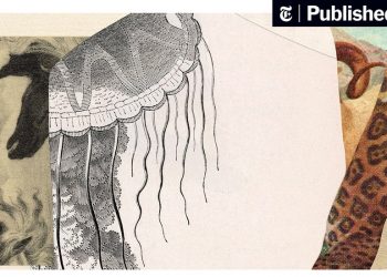 Wild Animals Gallop, Swim and Scamper Their Way Through These Books