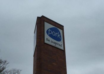 Ground pork sales surge during COVID-19 | AG