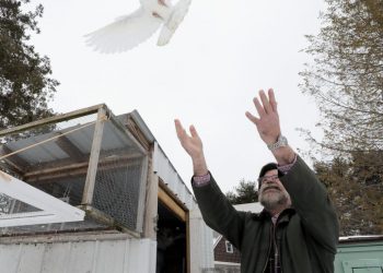 Watch now: Know Your Madisonian: Terrence Clark on veterinary research and his homing pigeon hobby | Local News