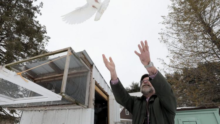 Watch now: Know Your Madisonian: Terrence Clark on veterinary research and his homing pigeon hobby | Local News