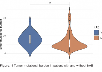 Association Between Tumor Mutational Burden and Immune-Related Adverse Events in Patients with Metastatic Urothelial Carcinoma During Checkpoint Immunotherapy