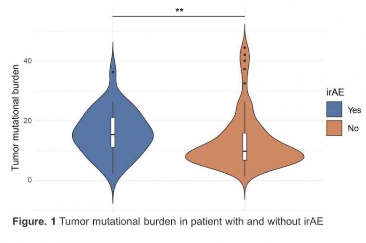Association Between Tumor Mutational Burden and Immune-Related Adverse Events in Patients with Metastatic Urothelial Carcinoma During Checkpoint Immunotherapy