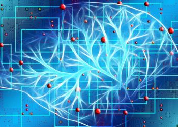 Artificial Intelligence and Bias: The Buck Stops (W)here