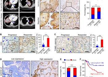 Laminin γ2–mediating T cell exclusion attenuates response to anti–PD-1 therapy