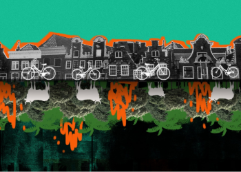 Dutch, Japanese pension funds pay for Amazon deforestation