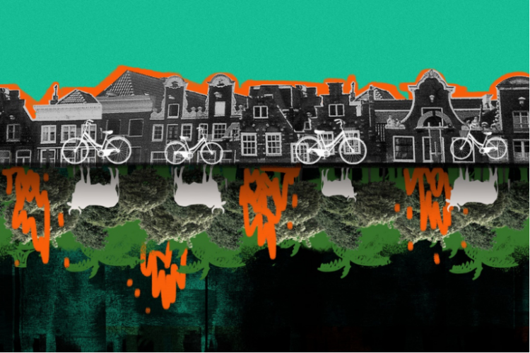 Dutch, Japanese pension funds pay for Amazon deforestation