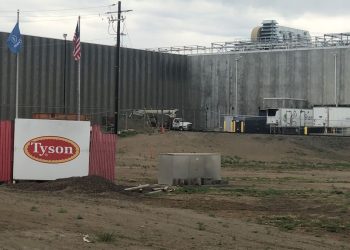 Easterday-Tyson saga shows counting 200K cattle isn’t easy, especially when they might not exist