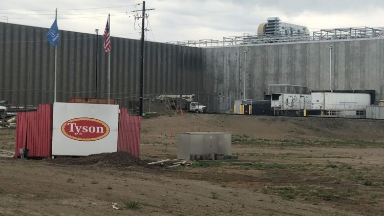 Easterday-Tyson saga shows counting 200K cattle isn’t easy, especially when they might not exist