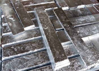 Researchers develop non-cereal crop to enhance yields and consumer health