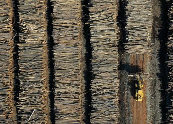 Inflation hits gasoline, lumber and meat