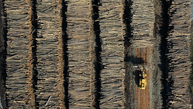 Inflation hits gasoline, lumber and meat