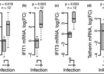 SARS‐CoV‐2 innate effector associations and viral load in early nasopharyngeal infection – Liou – 2021 – Physiological Reports