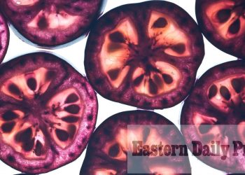 Education takes centre stage at Norwich Research Park