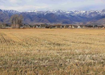 FCC Rural Broadband Funding Is a Step Forward, But Not Enough