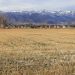 FCC Rural Broadband Funding Is a Step Forward, But Not Enough