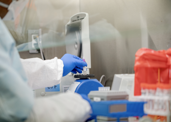 Yale and New Haven to begin saliva testing mini-program in New Haven learning hubs after fall term obstacles