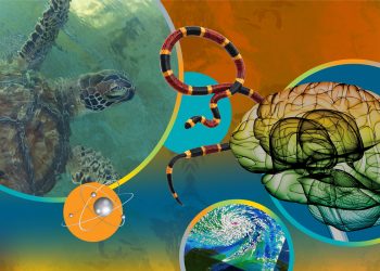 Science for A Changing World